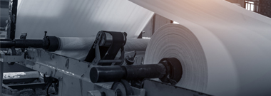 Paper and pulp mill