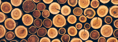 Logs ready to be processed into pulp and paper